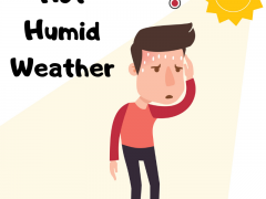 hot humid weather car care tips